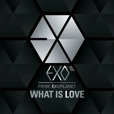 What Is Love (Chinese Version) - Single - Exo-M