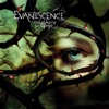 Evanescence - Missing (Live In Europe)