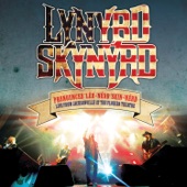 Lynyrd Skynyrd - Simple Man