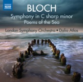 Symphony in C-Sharp Minor: II. Andante molto moderato artwork