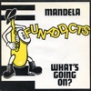 The Funaddicts - Whats Going on?
