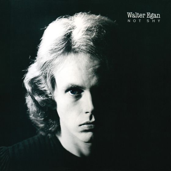 Cover artwork for Just the Wanting
