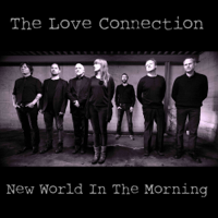 The Love Connection - New World In the Morning artwork