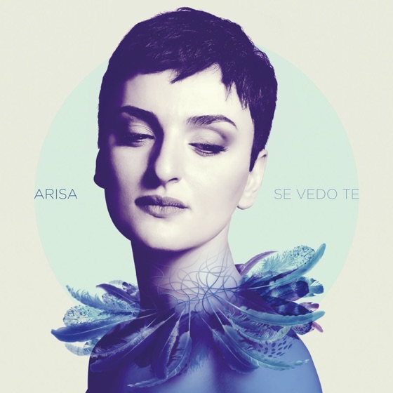 Cover artwork for Controvento