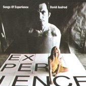 Songs of Experience artwork