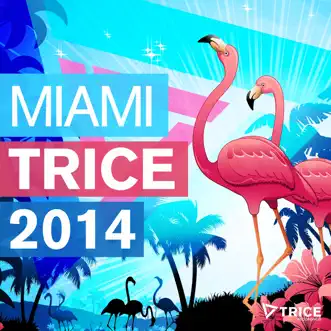 Miami Trice 2014 by Various Artists album reviews, ratings, credits