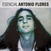 Antonio Flores - No dudaria