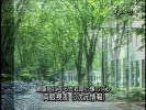 映像表現の科学 cover