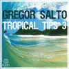 Stream & download Gregor Salto - Tropical Tips 3