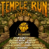 Temple Run Riddim artwork