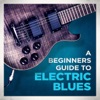 A Beginners Guide to Electric Blues, 2013