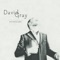 We Could Fall in Love Again Tonight - David Gray lyrics