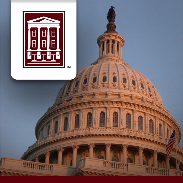 PLS 101: American Democracy and Citizenship cover