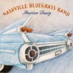 The Nashville Bluegrass Band - All Alone