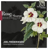 Rose of Sharon artwork