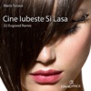 Cine Iubeste Si Lasa - Single