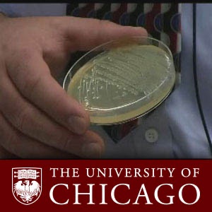 Infectious Diseases and Pandemics (video) cover
