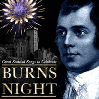 Various Artists - Great Scottish Songs To Celebrate Burns Night artwork