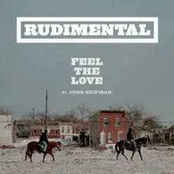 Feel the Love - Single - Rudimental