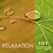 The New Age - Spa Music Relaxation Meditation lyrics