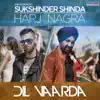 Dil Vaarda - Single album lyrics, reviews, download