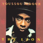 Youssou N'Dour - Shakin' the Tree