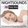 Nightsounds for Deep Sleep: Cricket Sounds, Insects, Owl Sounds, Relaxing Nature Sounds album lyrics, reviews, download