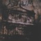 Squawk - Asylum lyrics