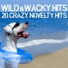 Wild & Wacky Hits - 20 Crazy Hit Songs
