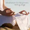 Meditation for Beginners Relaxing Songs – Nature Sounds Calm and Relax Music, Singing Bowls Buddhist Meditation album lyrics, reviews, download
