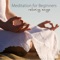 Asian Music, Koto - Yoga Music Guru lyrics