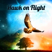 Hawk on Flight (feat. Lars Jansson, Ulf Wakenius, Matz Nilsson & Raymond Karlsson) artwork