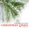 I Heard the Bells on Christmas Day - Larry Sparks lyrics