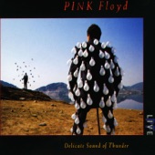 Pink Floyd - On the Turning Away (Live)
