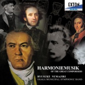 Trauermarsch fur Harmoniemusik in A Minor, Op. 103 artwork