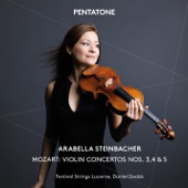 Violin Concerto No. 4 in D Major, K. 218: II. Andante cantabile artwork