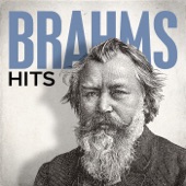 Brahms Hits artwork