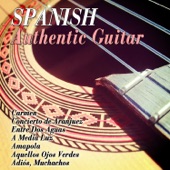 Spanish Authentic Guitar artwork