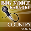 Mississippi (In the Style of Pussycat) [Karaoke Version] - Big Voice Karaoke