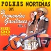 Polkas Norteñas: 20 Éxitos, Vol. 2