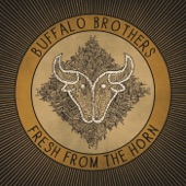 Buffalo Brothers - Metric