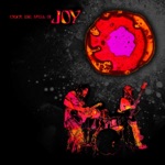 Joy - Back to the Sun