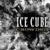 Crowded - Single album lyrics, reviews, download