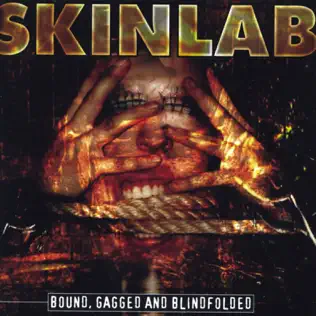 descargar álbum Skinlab - Bound Gagged And Blindfolded