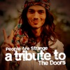 Ameritz Tribute Club - People Are Strange