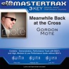 Meanwhile Back at the Cross (Performance Tracks) - EP