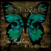 The Righteous & the Butterfly artwork