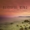 Blissful Mind (Danny Stubbs Remix) - Thomas Lemmer lyrics