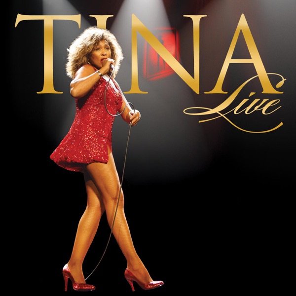 TINA TURNER WHAT YOU GET IS WHAT YOU SEE