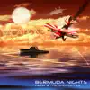 Bermuda Nights (Twocker's Hawaiian Shirt Remix) song lyrics